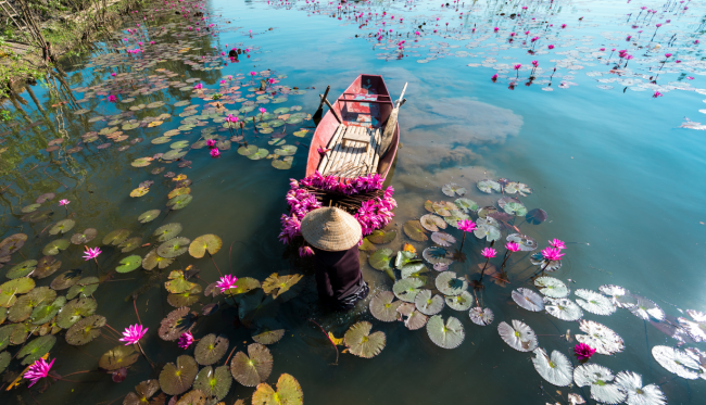 Vietnam-boat-lake-flowers